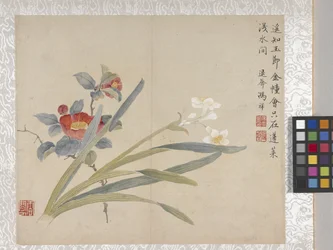 8-Blatt-Album der Blumen, Mitte 1700er Jahre