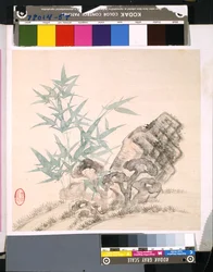 Album von Blumen und Vögeln, Datum unbekannt