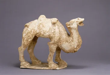 Kamel, möglicherweise 7. Jahrhundert