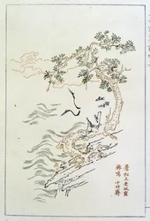 Fluss - Chinesischer Druck, n.d.