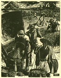 Soldaten und Zivilisten kooperieren von Sung Ping-heng, Soldaten und Bauern arbeiten zusammen, um Weizen zu ernten. Holzschnitt in „Holzschnitte aus dem Kriegszeit-China 1937-1945“, Shanghai