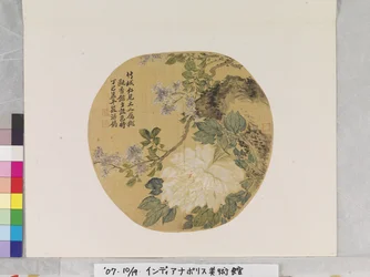 Weiße Pfingstrose nach Yun Shouping