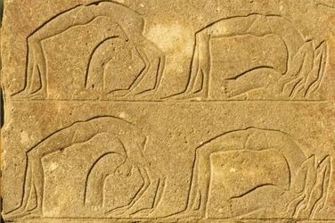 Altes Ägypten, Wandmalerei/Schnitzerei, Weibliche Akrobaten führen Kunststücke vor, Karnak-Tempel, Luxor