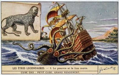 Legendäre Wesen - Oktopus und Seelöwe - Chromo Liebig Farbe