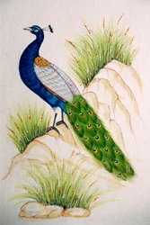 Miniaturmalerei auf Seide: Pfau
