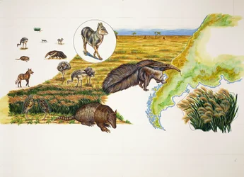 Argentinien, die Pampas (Farblithografie)