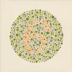 Ishihara-Farbtest zur Erkennung von Farbenblindheit
