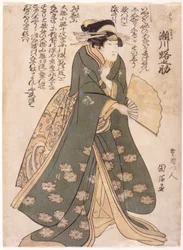 Segawa: Koshi Genta