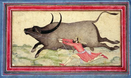 Flüchtender Büffel, Johnson Album XIV, Nr.11, verso, um 1700