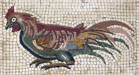 Mehrfarbiger Hahn vom Boden einer römischen Villa in Tunesien (Mosaik)
