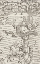 Cosmographia, Fol 853, 1544