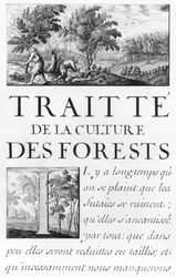 Ms 260 Band IV Frontispiz von 