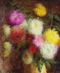 Chrysanthemen
