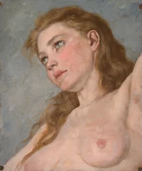 Aino