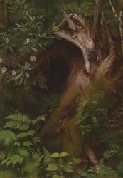 Das Eichhörnchen, 1860er-1870er Jahre