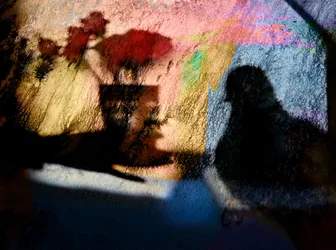 Farbenfrohe Vogelschatten