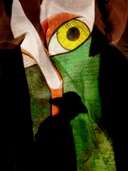 Mosaikauge und Schatten