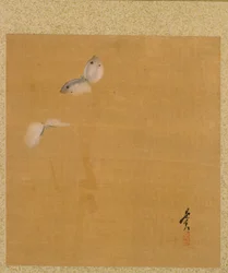 Motten aus dem Album der Gemälde des Ehrwürdigen Zeshin