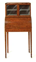Amboyna-Holz Schreibschrank, 1908