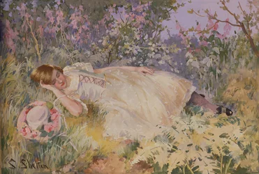 Schlafend unter den Fingerhüten