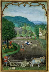Add 18855 Oktober: Pflügen und Säen, aus einem Stundenbuch, um 1540