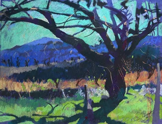 Schatten des Kirschbaums