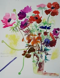 Ranunkeln und Anemonen, 2010
