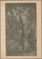 Wasser im Wald (Traumwald)