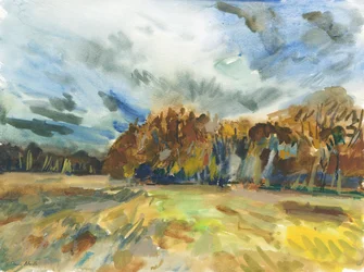 Richmond Park, 2018