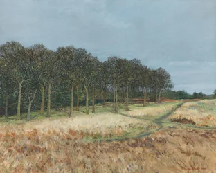 Wald, Richmond Park, 2019