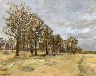 Wald, Richmond Park Nr. 6, 2022
