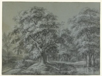 Waldlandschaft mit Wasser