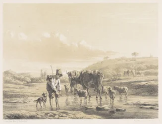 Hirtenjunge mit Herde im seichten Wasser