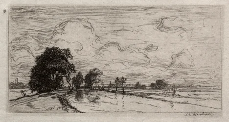 Überflutete Landschaft mit Bäumen