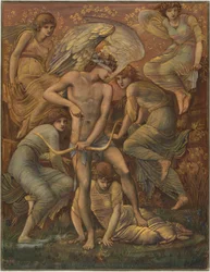 Cupids Jagdfelder