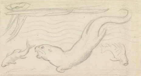 Studie für Buntglas, ein Otter und zwei Fische