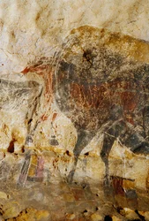 Detail der gravierten Malerei von Pferdeköpfen, Lascaux