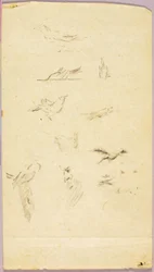 Vögel