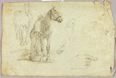 Pferd und Reiter