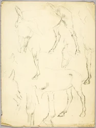 Porträtstudie, Pferdestudie