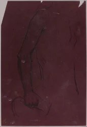 Torso, Studie für Reitermonument