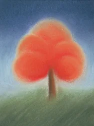 Baum II