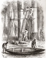 Einheimische Indianer bauen ein Kanu am Ufer des Oyapock oder Oiapoque Flusses, Südamerika (Gravur)