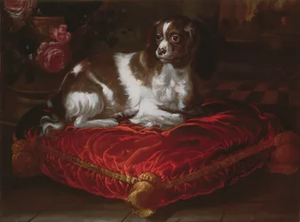 Spaniel auf einem Kissen