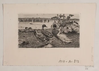 Enten