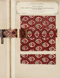 Baumwollprobe mit weißer und gelber Seide bestickt aus Sylhet, aus The Collection of the Textile Manufacturers of India, von John Forbes Watson, veröffentlicht 1866