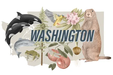 Symbole des Bundesstaates Washington