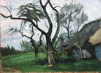 Landschaft von Wola Radziszowska