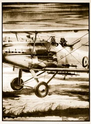 Hochflieger, Illustration aus 