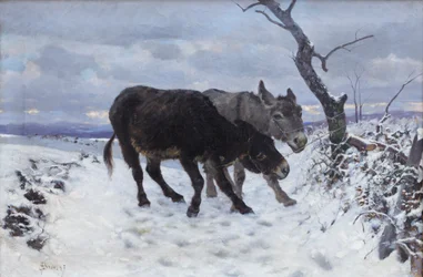 Die zwei Esel im Schnee